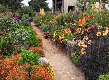 Bee garden Ổn định và phát triển hội nhập