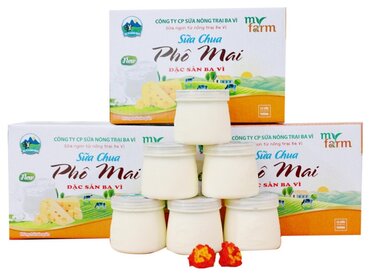 Review sữa chua phô mai Ba Vì: ngon và giá cả phải chăng