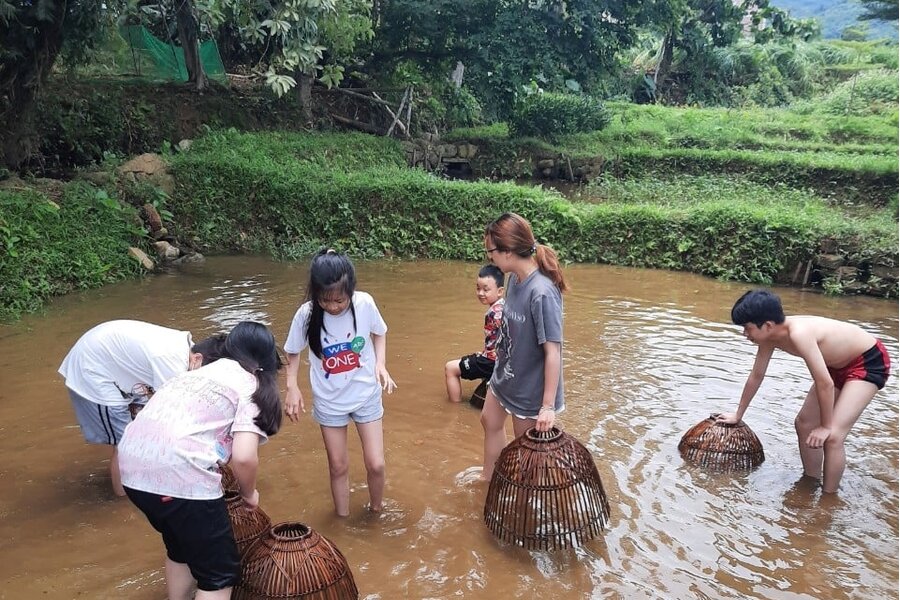 Homestead Ba Vì: Nơi tận hưởng cuộc sống trong lòng thiên nhiên