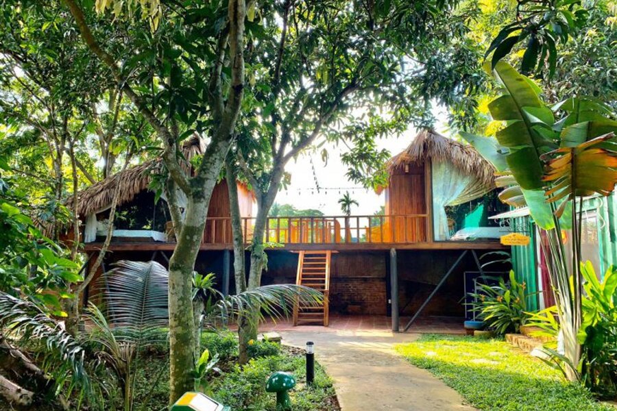 Tree House Ba Vì: Tận hưởng thiên nhiên tuyệt vời