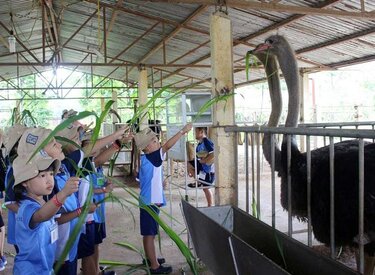 Nông trại dê trắng Ba Vì: Khu trang trại giáo dục và chăm sóc dê trắng