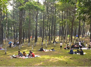 Đông Viên Đông Quang Ba: Hà Nội Rực Rỡ Trong Ánh Sáng
