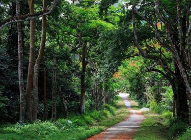 Tiên phong ba vì Hà Nội: Hành trình đổi mới đánh dấu một thời đại mới