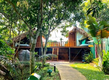 Tree House Ba Vì: Tận hưởng thiên nhiên tuyệt vời