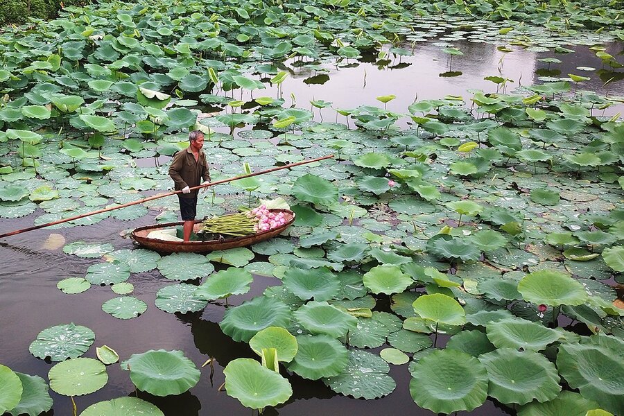 Đầm Sen Ba Vì - Khám phá khu du lịch đầm Long Ba Vì tuyệt vời