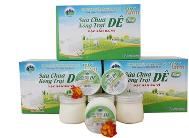 Sự thật về sữa chua dê ba vì: tốt hay không?