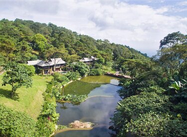Vườn nắng ba vì: Những ngọn nắng vàng tỏa sáng trong hương vị tự nhiên