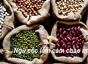 Chế biến cám ba thành chào mào: Chất lượng và hiệu quả
