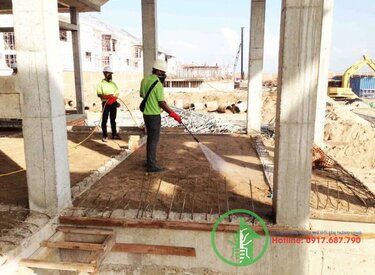 Phương pháp diệt mối hiệu quả tại Ba Vì