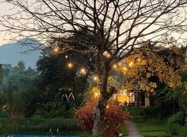 Daisy Garden - Khu vườn hoa vàng trong ba vì