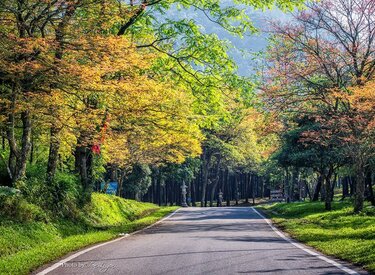Vườn Quốc gia Ba Vì Tháng 11: Đắm mình trong khung cảnh thiên nhiên tươi đẹp