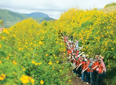 Thỏa mãn đam mê phượt, khám phá hoa dã quỳ tại Ba Vì