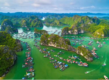 Đại lý sữa Ba Vì tại Hải Phòng Chất lượng uy tín