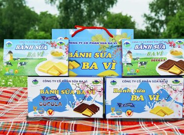 Bánh sữa chua con bò vàng Ba Vì - thưởng thức hương vị truyền thống
