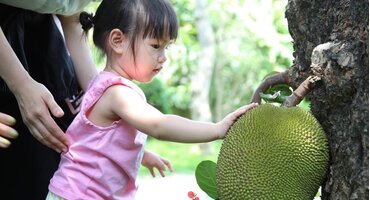 Lưu giữ những khoảnh khắc đẹp nhất của con tại Nhà hàng Dung Tiến