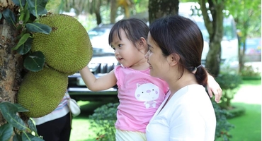 Bản đồ Vườn Quốc gia Ba Vì: Khám phá thiên đường thiên nhiên