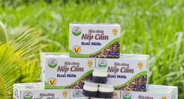 Đại lý sữa Ba Vì: Chất lượng và đa dạng sản phẩm sữa tươi, sữa chua