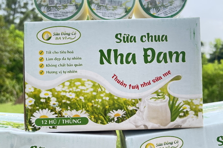 Sữa Chua Ba Vì Nha Đam: Hương Vị Tươi Mát Từ Thiên Nhiên