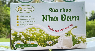 Sữa Chua Ba Vì Nha Đam: Hương Vị Tươi Mát Từ Thiên Nhiên
