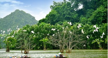 Khám phá thiên đường vườn cò ba vì gần Hà Nội