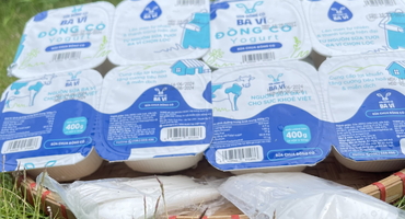 Sữa Chua Ba Vì: Số Calo Tính Toán và Tác Động đến Sức Khỏe
