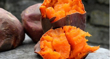 Khoai lang đồng Thái Ba Vì: Hương vị ngọt tự nhiên ăn là ghiền!