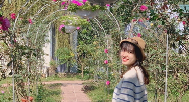 Ba Vì Rose Farm - Khám Phá nghỉ dưỡng đệp Nhất Ba Vì