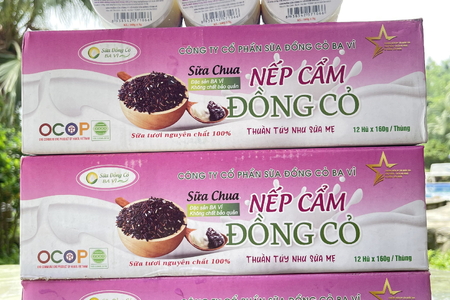 Sữa chua nếp cẩm Ba tại Hải Phòng - Sự hòa quyện ngọt ngào