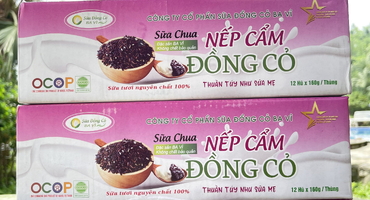 Sữa chua nếp cẩm Ba tại Hải Phòng - Sự hòa quyện ngọt ngào