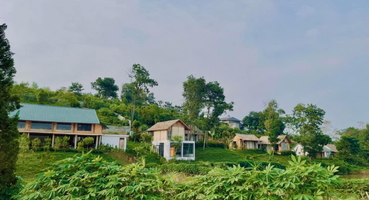 Cuộc sống trong xóm muỗi Xã Yên Bài, Huyện Ba Vì, Hà Nội