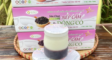 Hạn sử dụng sữa chua nếp cẩm ba vì cần kỹ thuật bảo quản hiệu quả