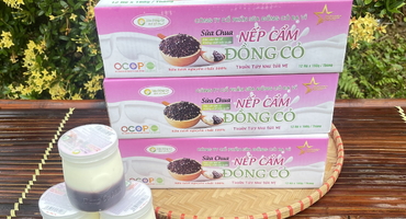 Sự kết hợp độc đáo: Sữa chua nếp cẩm ba con bò vàng