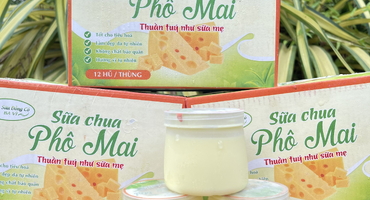 Sữa chua Ba Vì 70g - Sự kết hợp hoàn hảo cho hương vị truyền thống