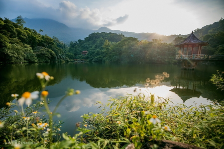 Hành Trình Trekking Vườn Quốc Gia Ba Vì Tuyệt Vời