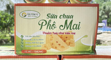 Sữa Chua Phô Mai Ba Vì: Món Ngon Độc Đáo Đậm Chất Văn Hóa Ba Vì