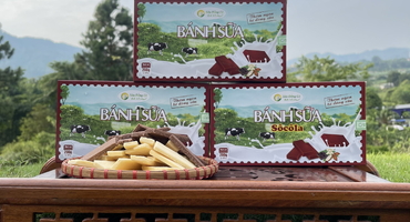Vị Ngon Đặc Sắc Bánh Sữa Ba Vì Socola: Đặc Sản Hấp Dẫn Du Lịch Ba Vì