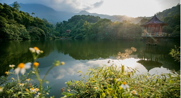 Hành Trình Trekking Vườn Quốc Gia Ba Vì Tuyệt Vời