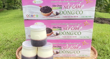 Giá Bán Sữa Chua Nếp Cẩm Ba Vì và Những Điểm Đến Thú Vị