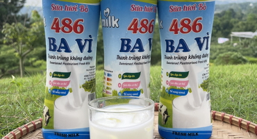 Thưởng Thức Không khí Và Khám Phá Giá Sữa Ba Vì – Đặc Sản Nức Tiếng