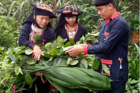 Du lịch nghỉ dưỡng tại Ba Vì – Khám phá vùng đất nhiều lương y ở Ba Vì