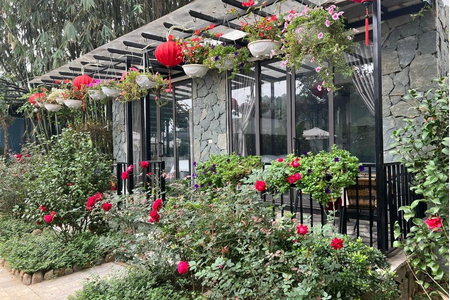 Trải nghiệm nghỉ dưỡng tại Rose Garden Homestay Ba Vì