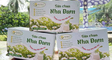 Thưởng thức sữa tươi Ba Vì IDP – Hương vị tự nhiên từ vùng đất núi Ba Vì