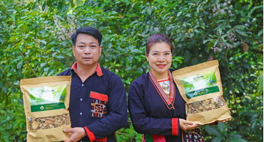 Du lịch nghỉ dưỡng Ba Vì và khám phá Hợp Tác Xã Thuốc Nam Ba Vì