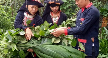 Du lịch nghỉ dưỡng tại Ba Vì – Khám phá vùng đất nhiều lương y ở Ba Vì