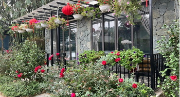 Trải nghiệm nghỉ dưỡng tại Rose Garden Homestay Ba Vì