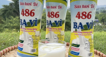 Du lịch nghỉ dưỡng Ba Vì và khám phá thương hiệu sữa Ba Vì trứ danh