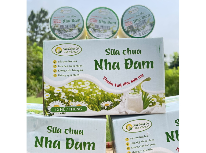 sữa chua ba vì nha đam