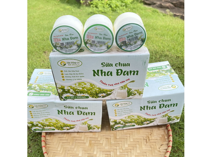 sữa chua ba vì nha đam