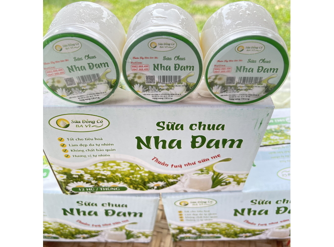 sữa chua ba vì nha đam