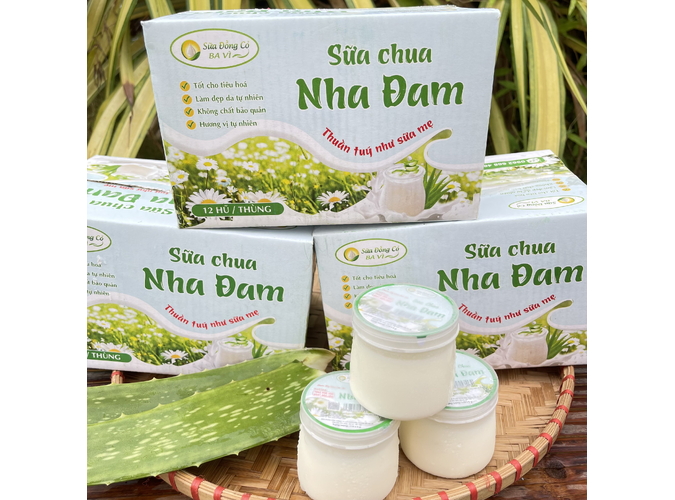 sữa chua ba vì nha đam